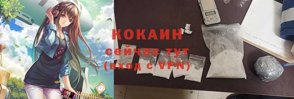 шишки Саяногорск
