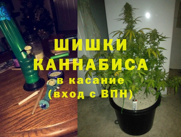 шишки Саяногорск